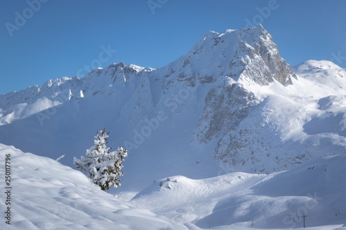 Lonely snow covered tree and mountain in pristine alpine landscape. Calm and tranquil winter scenery. French Savoy Alps in ski resort La Plagne