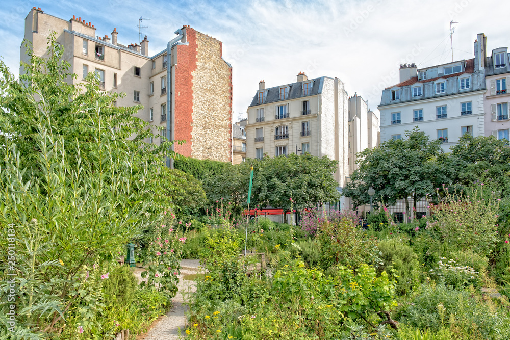 Fototapeta premium Community Garden in Paris