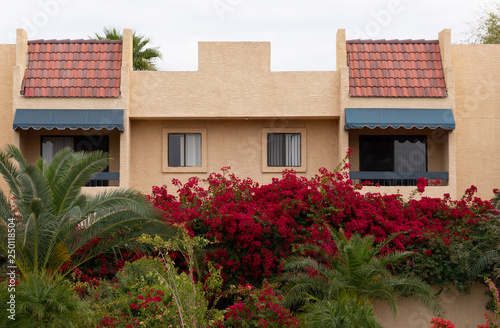 Apartment building behind a wall with blooming bougainvilleas