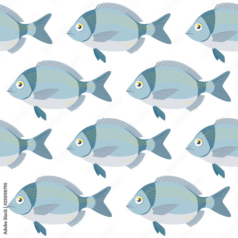 Vector pattern with Black Bream Fish, Diplodus vulgaris. Advertising, menu or packaging cool design elements.
