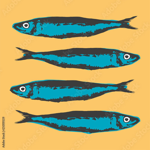 Hand Drawn Illustration a Group of sardines, Sardina pilchardus, on yellow background