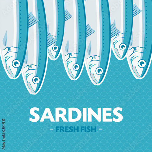 Sardines, Sardina pilchardus. Vector illustration. Advertising, menu or packaging cool design elements.