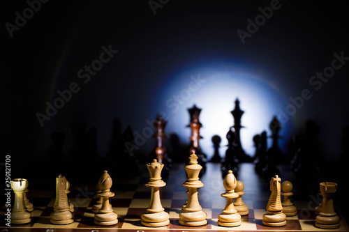 White and black chess pieces set in slim rows, casting its shadow.