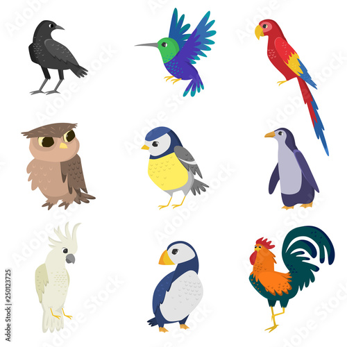 Collection of colorful wild  domestic  tropical  waterfowl birds isolated on white background
