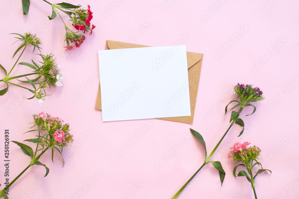 Top view of envelope and blank greeting card with flowers on pink background. Top view of envelope and blank greeting card with flowers on pink background.