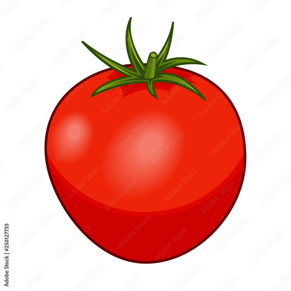 Fresh red tomato with green stem with shadows and highlights isolated on white background isometric front view. Fresh red tomato with green stem with shadows and highlights isolated on white background isometric front view.