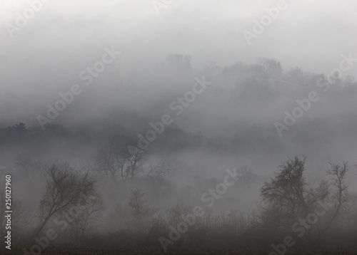 A foggy woodland scene, New York State, USA. photo