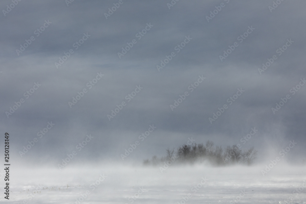 Ground blizzard, sub-zero wind chills, New York State, USA. Ground blizzard, sub-zero wind chills, New York State, USA.