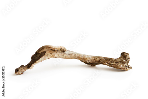 curve wooden snag found on the shores of the Gulf of Finland. Russia. On a white background, isolated, for decorating the interior.