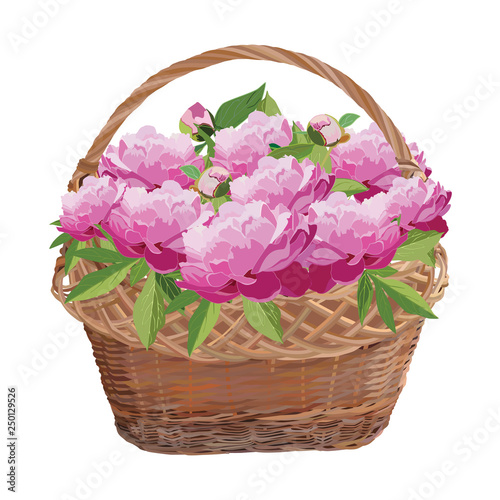 Wicker basket with peony flowers, vector isolated illustration
