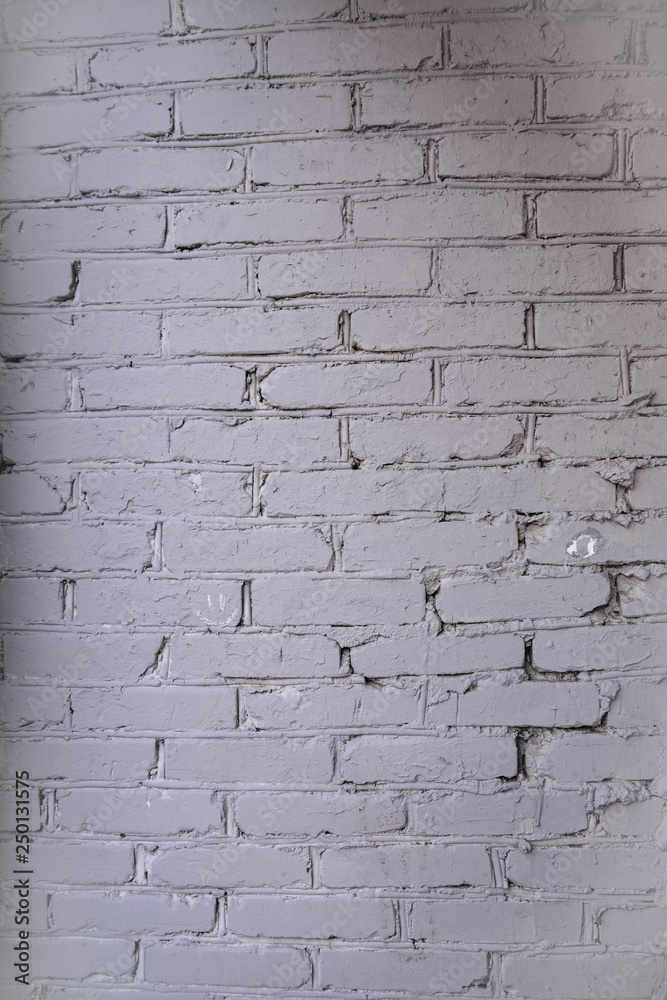 Fototapeta premium Background - brick wall.