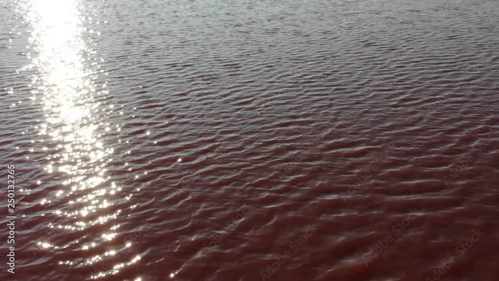 picturesque aerial view unique boundless red salt lake with small waves reflects sunlight on sunny summer day picturesque aerial view unique boundless red salt lake with small waves reflects sunlight on sunny summer day