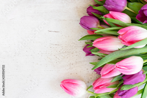 Fototapeta Naklejka Na Ścianę i Meble -  Pink fresh tulips
