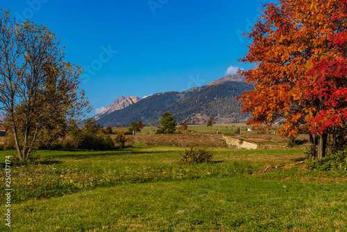 Autumn view in Burgusio  Trentino-Alto Adige  Italy