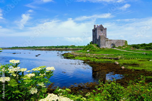 View of the medieval Dunguaire Castle along the shore of Galway Bay with reflections and flowers, Ireland