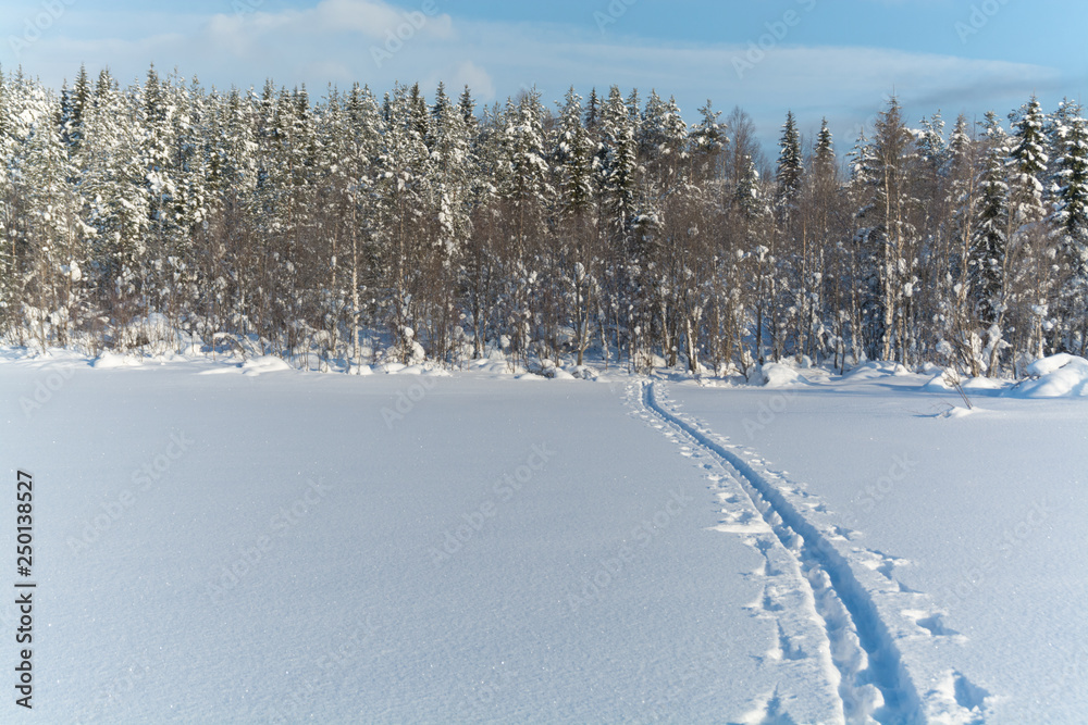 custom made wallpaper toronto digitalFresh ski track in the winter day