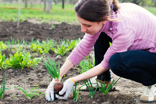 Young Woman Working in the Garden - Gardening - Healthy Lifestyle