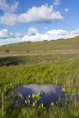 Tolay Lake photo