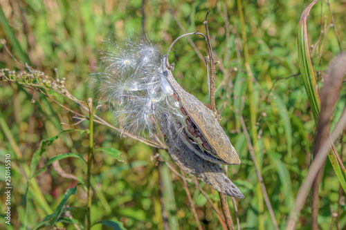 Catching the wind