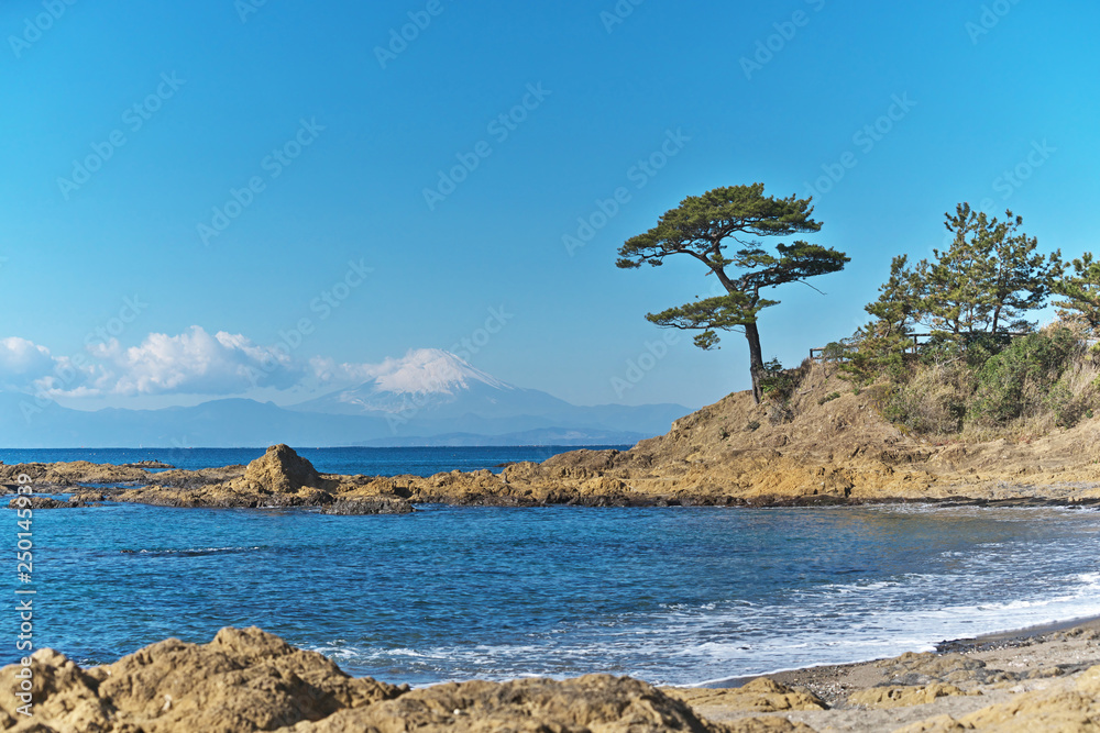 富士山と松と海ある風景 Stock Photo | Adobe Stock