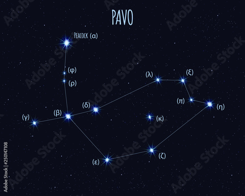 Pavo (The Peacock) constellation, vector illustration with the names of basic stars against the starry sky