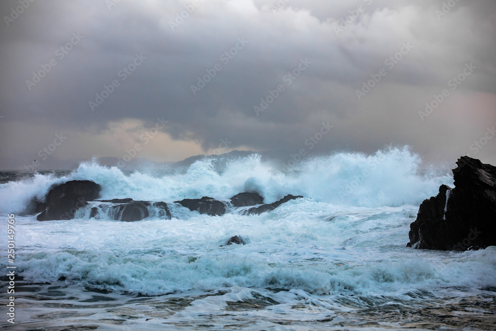 Botanical Beach Dark storm waves crashing on rocks