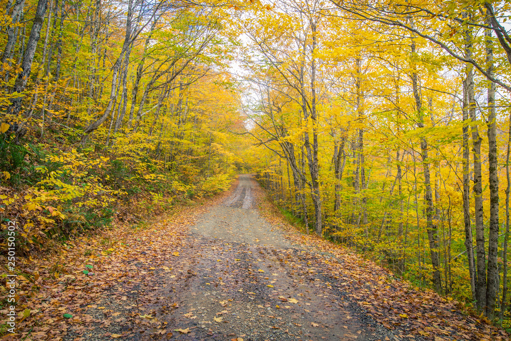 Gravel road in autumn in Cape Breton