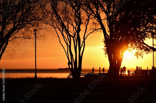 Waterfront Sunrise