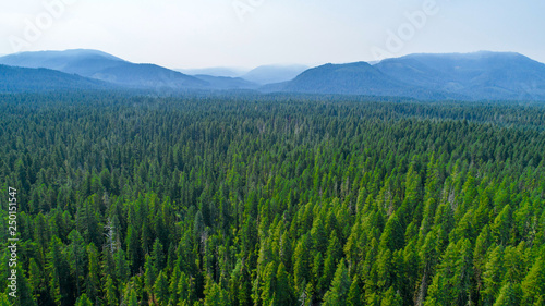 view of mountains