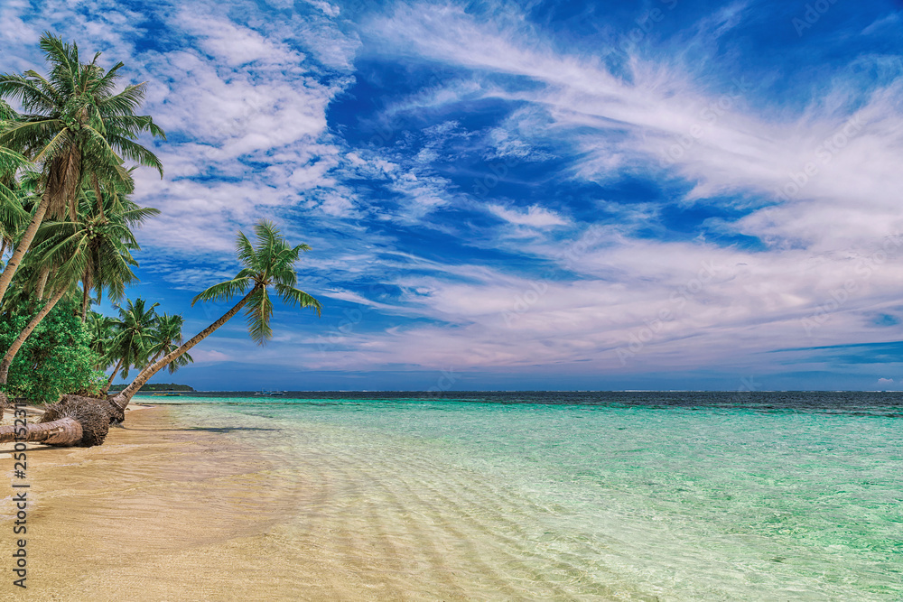 Beautiful beach. View of nice tropical beach with palms around. Holiday and vacation concept. Tropical beachat Philippines on the coast island Siargao