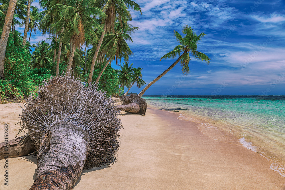 Beautiful beach. View of nice tropical beach with palms around. Holiday and vacation concept. Tropical beachat Philippines on the coast island Siargao