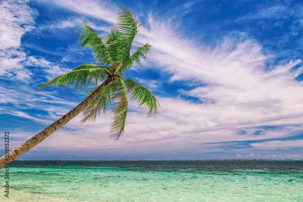 Beautiful beach. View of nice tropical beach with palms around. Holiday and vacation concept. Tropical beachat Philippines on the coast island Siargao