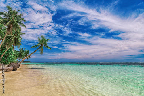 Obraz na płótnie Beautiful beach. View of nice tropical beach with palms around. Holiday and vacation concept. Tropical beachat Philippines on the coast island Siargao w salonie