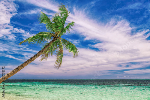 Fototapeta Naklejka Na Ścianę i Meble -  Beautiful beach. View of nice tropical beach with palms around. Holiday and vacation concept. Tropical beachat Philippines on the coast island Siargao