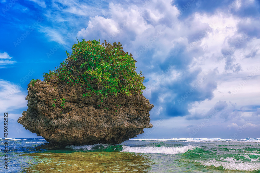 Beautiful island. View of nice tropical beach with palms and stones around. Holiday and vacation concept. Tropical and wild beach at Philippines on the coast island Siargao