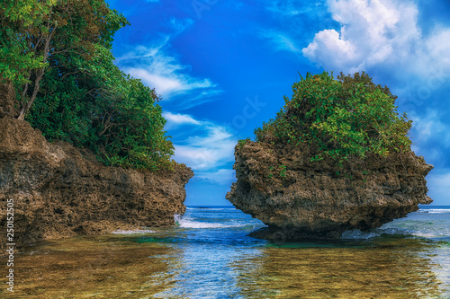 Obraz na płótnie Beautiful island. View of nice tropical beach with palms and stones around. Holiday and vacation concept. Tropical and wild beach at Philippines on the coast island Siargao w salonie