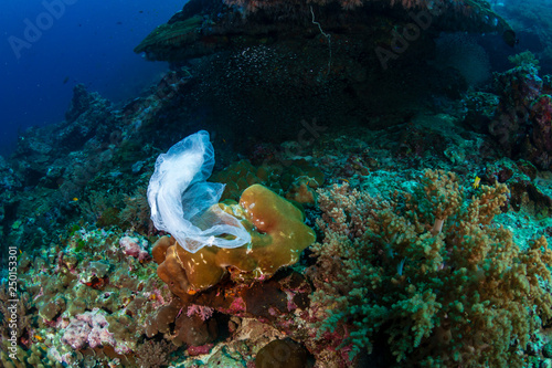 Plastic Pollution - a plastic bag floating next to a tropical coral reef in Asia
