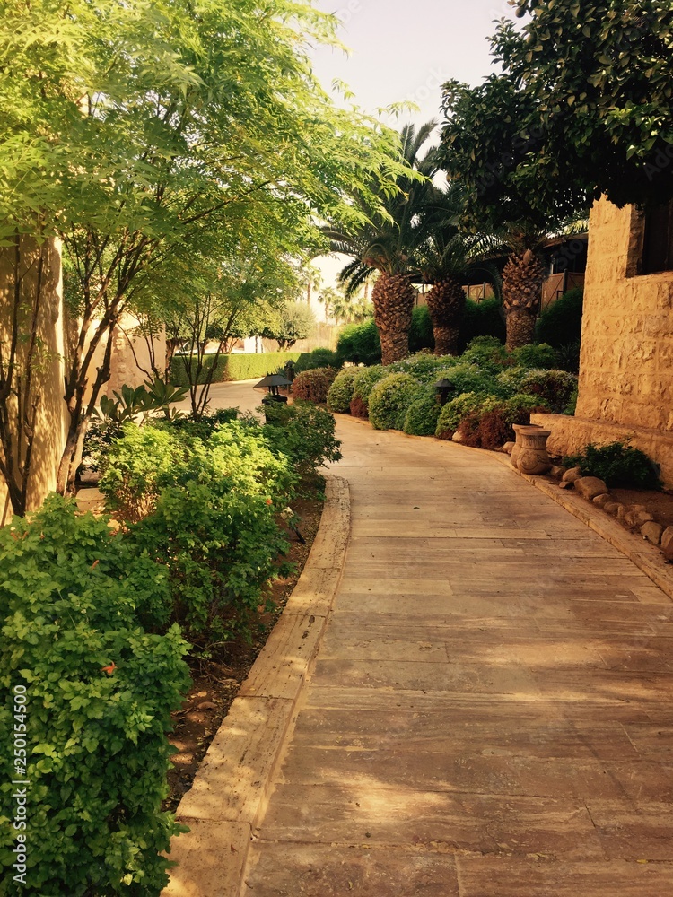 Fototapeta premium Stone path green trees
