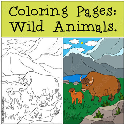 Coloring Pages: Wild Animals. Beautiful yak with little baby.
