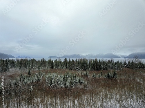 Beautiful natural scenery in the Seward Alaska area during winter 