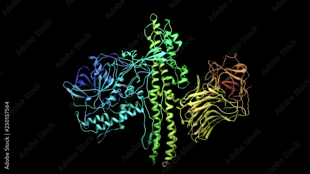 Botulinum molecule 3d animation  Ribbon representation Seamless looping animation