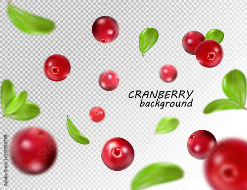 Falling cranberry isolated on transparent background, full depth of field. Quality realistic vector, 3d illustration © leezarius