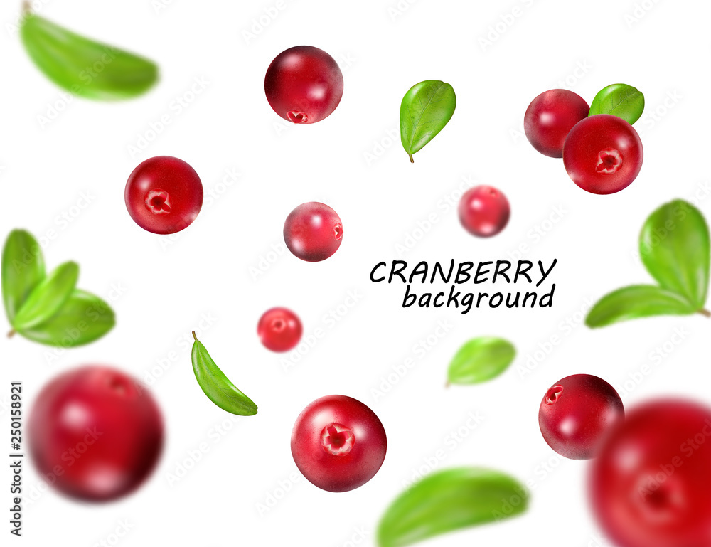 Falling cranberry isolated on white background, full depth of field. Quality realistic vector, 3d illustration Falling cranberry isolated on white background, full depth of field. Quality realistic vector, 3d illustration