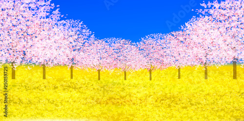 桜　春　花　背景