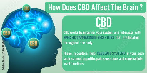 How Does CBD (Cannabidiol) affect the brain? 