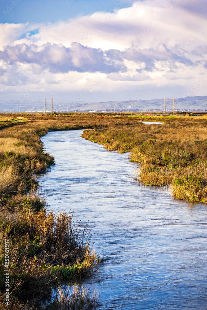 Creek running among the marshes of San Francisco bay, Mountain View, California