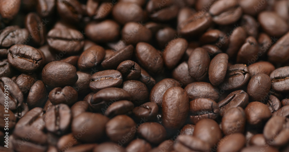Fototapeta premium Brown coffee bean