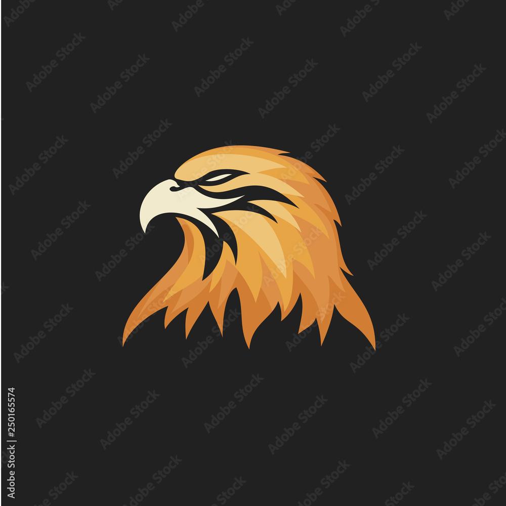 Obraz premium Eagle Head Logo Designs