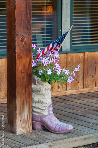 Boot with Flowers photo