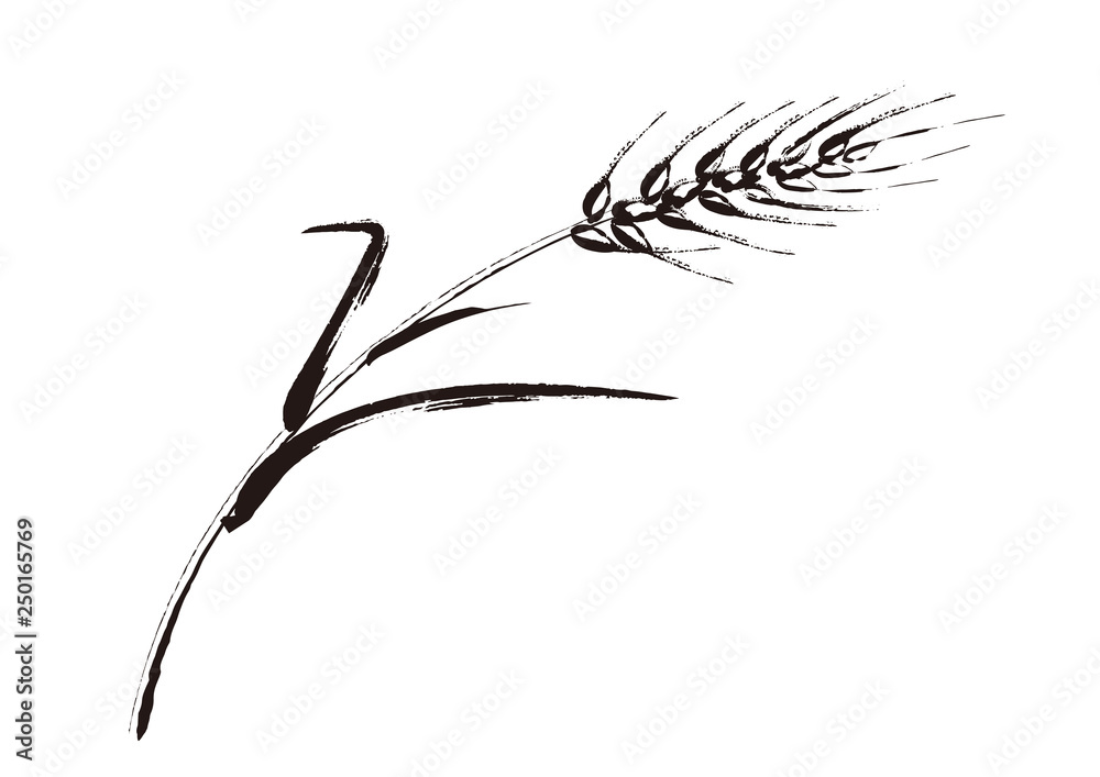 線画４ 麦のイラスト Stock Vector Adobe Stock